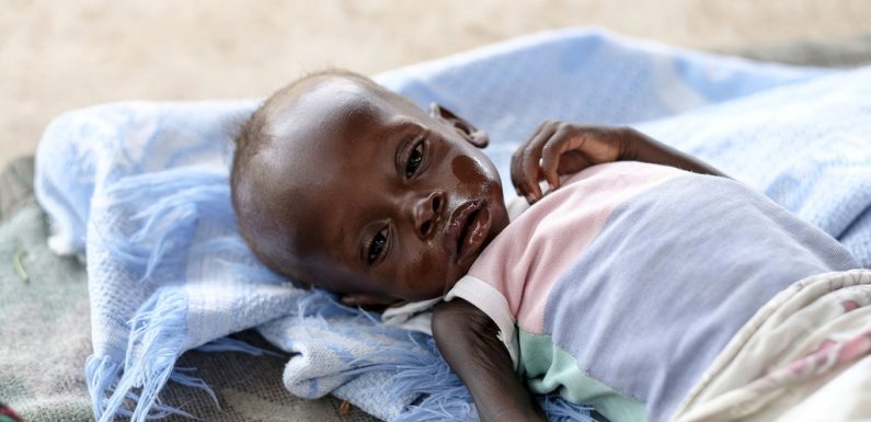 Au Soudan du Sud, plus de la moitié de population peine à survivre (ONU)