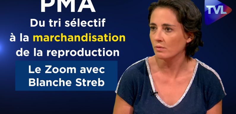 Blanche Streb et la PMA : du tri sélectif à la marchandisation de la reproduction