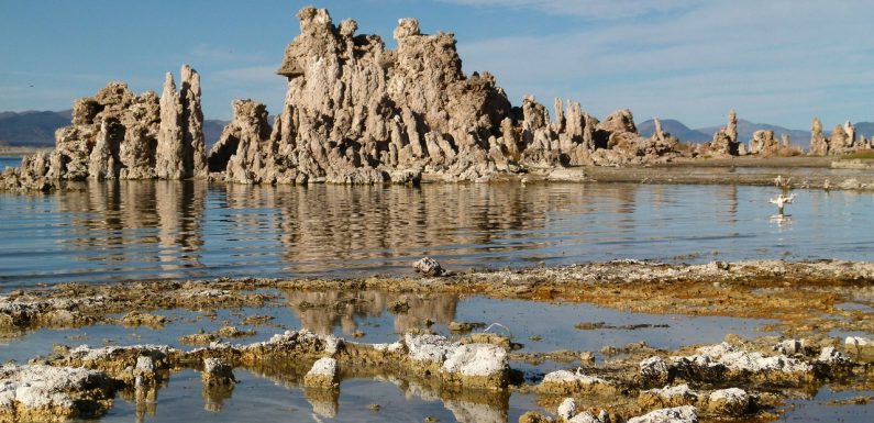 D’étranges vers à trois sexes découverts dans un environnement extrême