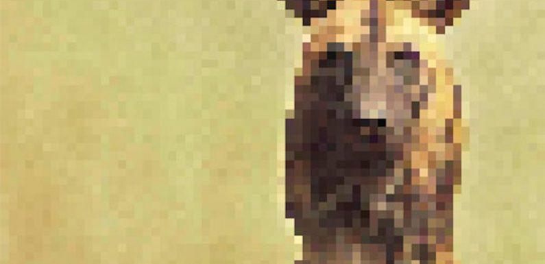 Ces photos sont pixelisées pour une raison glaçante : un pixel = un animal restant de l’espèce