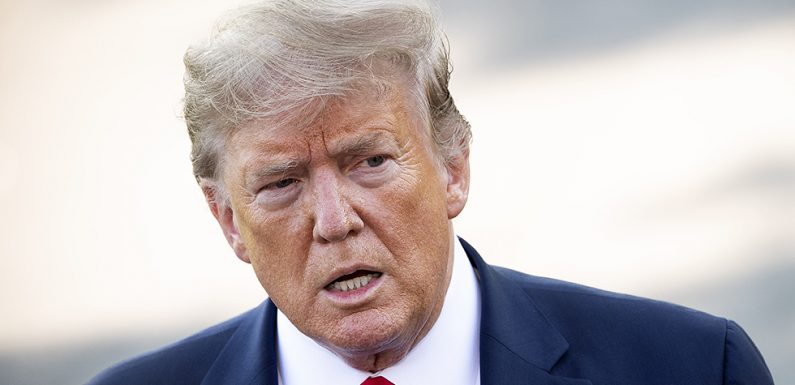 Former Bush staffer urges ‘fellow Latinos’ to vote Trump ‘out of office’