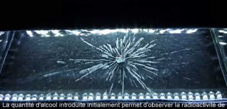 Visualiser la radioactivité avec une chambre à brouillard