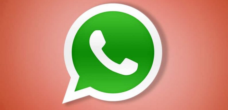 WhatsApp : ne cliquez surtout pas sur un bouton de partage