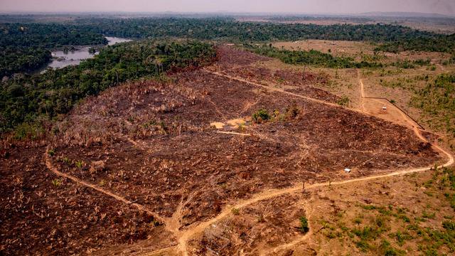 La déforestation en Amazonie a augmenté de 93% entre janvier et septembre