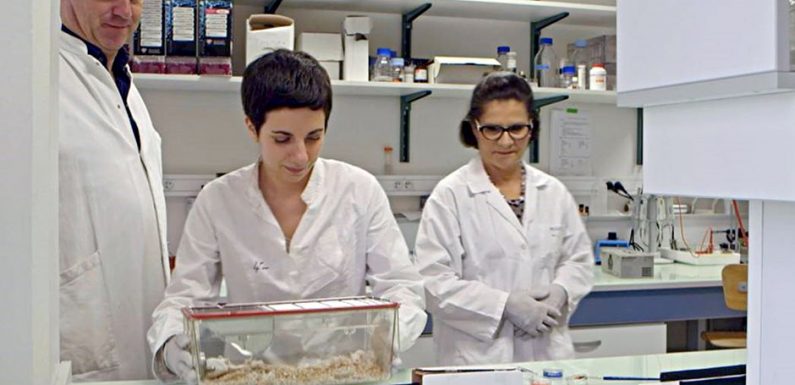 Cholestérol : le grand bluff