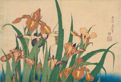 L’avènement de l’estampe de paysage au XIXe siècle par Jocelyn Bouquillard