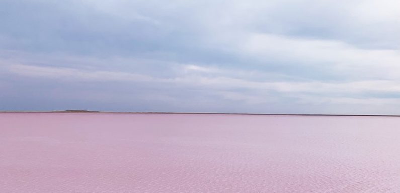 Ce qu’il faut savoir sur le lac devenu rose au Kazakhstan