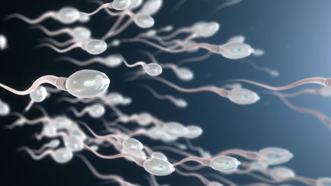 Les hommes sont-ils prêts à prendre la pilule?