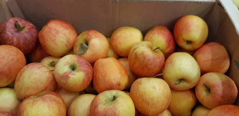 Comment ne pas gaspiller les fruits et légumes « moches »