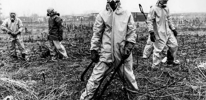 Seveso en Italie toujours contaminée 43 ans après le drame