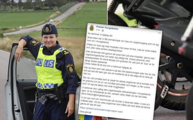 Kungsbacka (Suède) : les habitants se plaignent de la délinquance des immigrés, la police leur conseille d’organiser des patrouilles