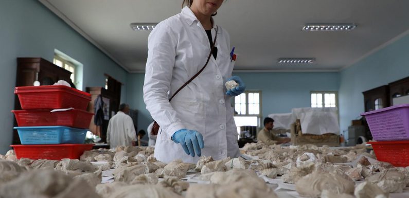 Le Musée national d&rsquo;Afghanistan restaure son patrimoine bouddhiste