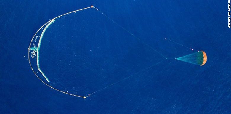 A floating device created to clean up plastic from the ocean is finally doing its job, organizers say