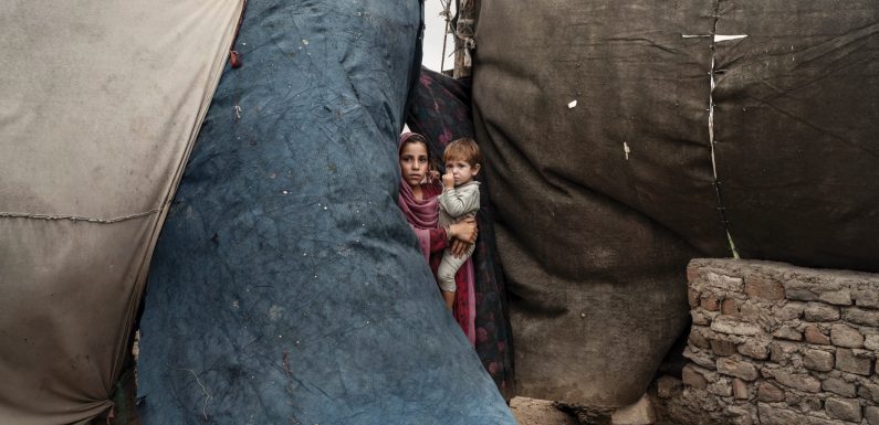 The Shattered Afghan Dream of Peace