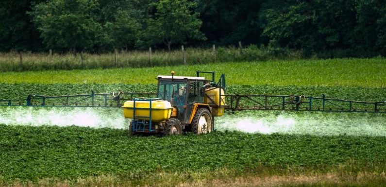 DOCUMENT FRANCE 3. En Mayenne, une mère de famille atteinte de deux tumeurs dénonce l&rsquo;utilisation de pesticides à huit mètres de son domicile