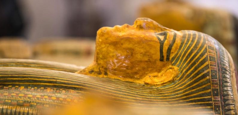 Louxor : découverte de trente sarcophages en bois peint de plus de 3 000 ans en excellent état