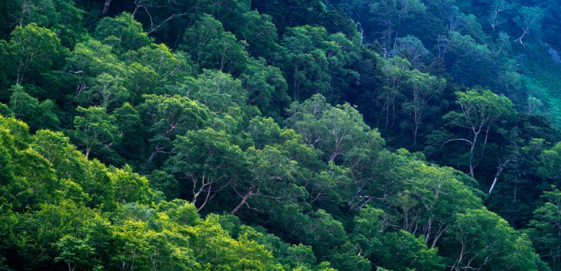 Fonds vert pour le climat : 9,8 milliards de dollars pour 2020-2023