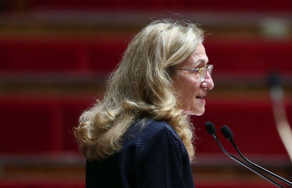 Bioéthique : l’amendement sur la filiation des enfants nés de GPA à l’étranger rejeté après un deuxième vote