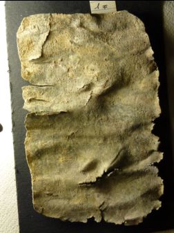 En Israël, une malédiction vieille de 1500 ans jetée contre une danseuse enfin résolue