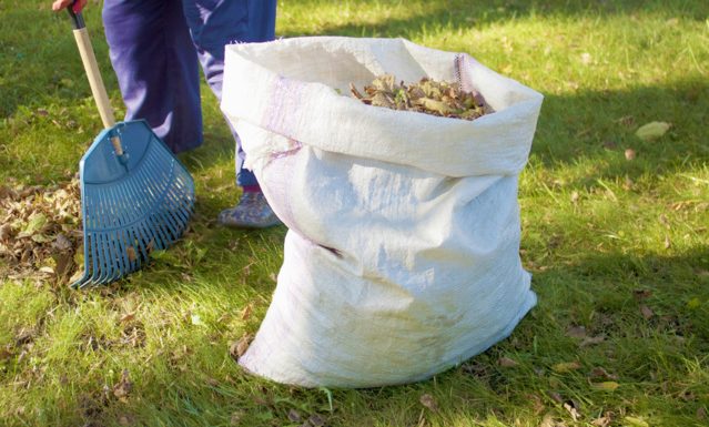 Amiens : 4000 foyers chauffés grâce aux feuilles mortes