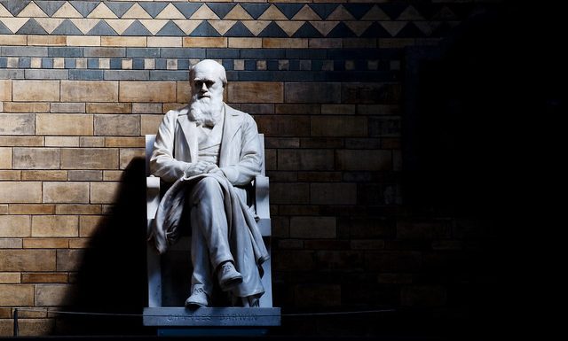 Charles Darwin, chaînon manquant de l‘économie politique