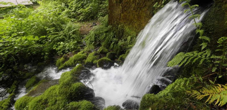 The fight to stop Nestlé from taking America’s water to sell in plastic bottles