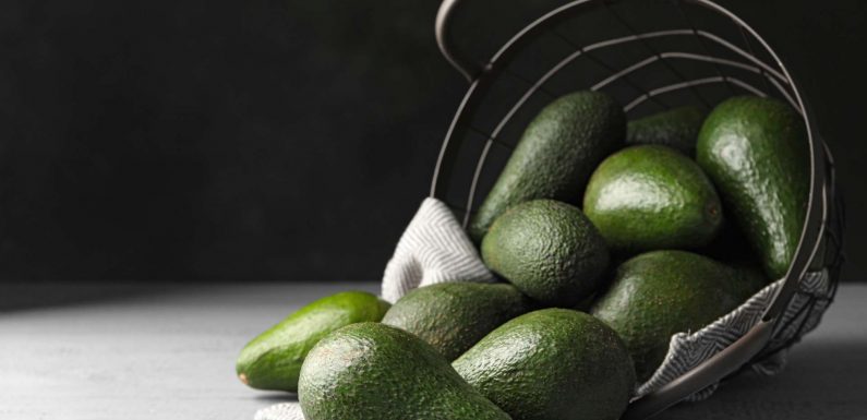 Santé dans nos assiettes : un avocat par jour préviendrait du mauvais cholestérol