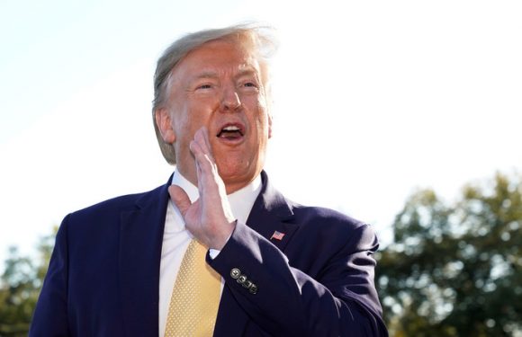 Macron empereur ? Trump se demande si «Napoléon Bonaparte» veut aider Damas à «protéger les Kurdes»