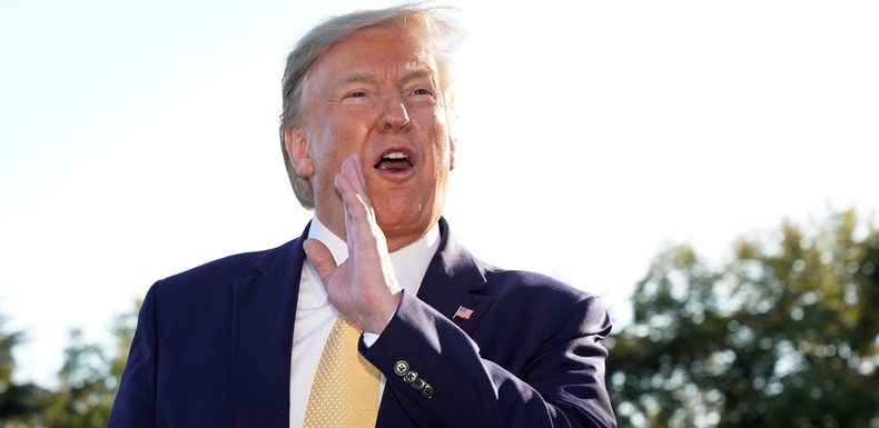 Macron empereur ? Trump se demande si «Napoléon Bonaparte» veut aider Damas à «protéger les Kurdes»