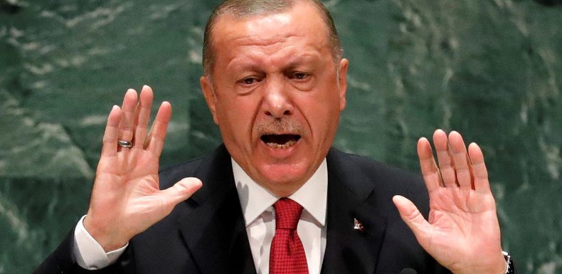 La Turquie ne «déclarera jamais de cessez-le-feu» sans avoir atteint ses objectifs prévient Erdogan