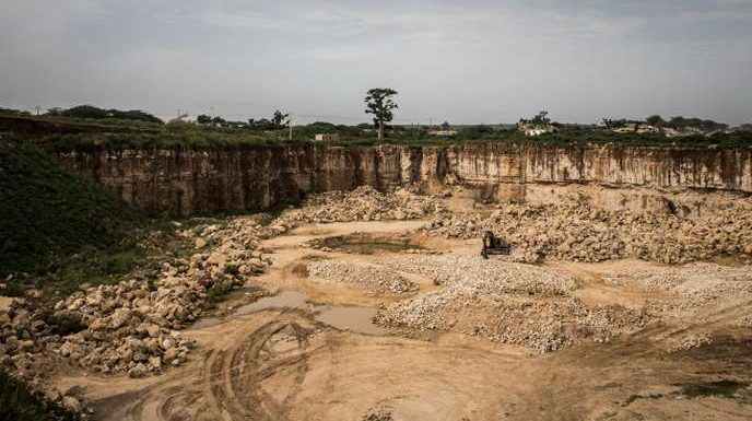 Au Sénégal, une forêt de baobabs sacrifiée sur l’autel de l’industrialisation