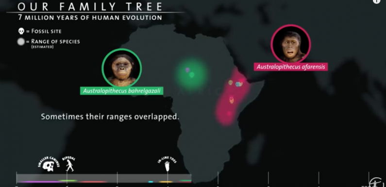 Where Did Human Beings Come From? 7 Million Years of Human Evolution Visualized in Six Minutes
