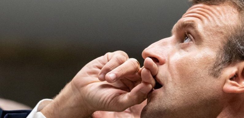 A Paris, le chef des Verts allemands pointe les convergences avec le parti d’Emmanuel Macron