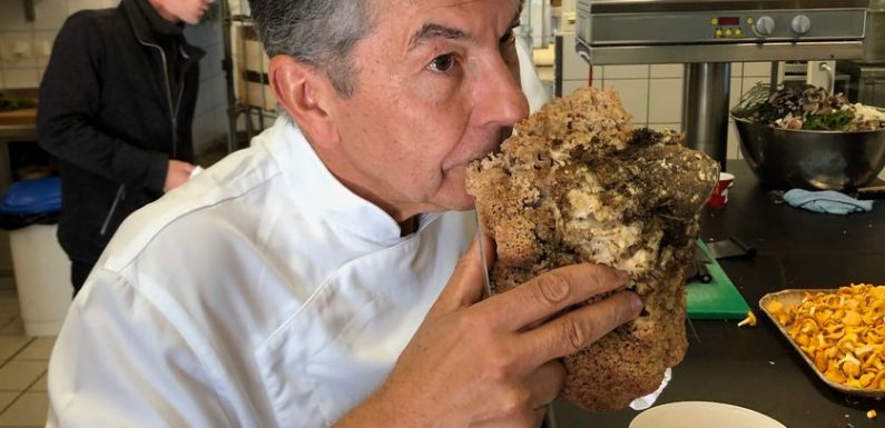 Mycophile ou mycophobe ?