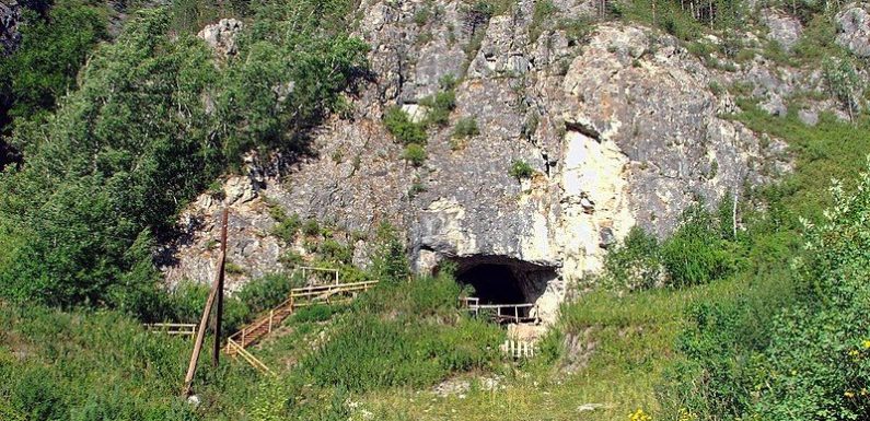 L’homme de Denisova, entre Neandertal et Cro-Magnon ?