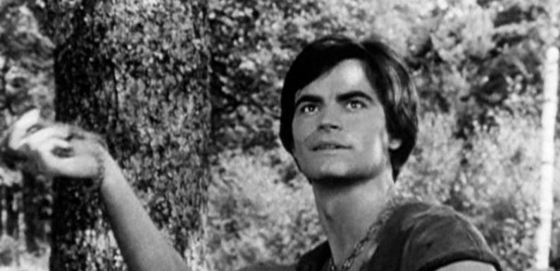 Thierry La Fronde, Vidocq, Jacquou le croquant : les premiers personnages de série français