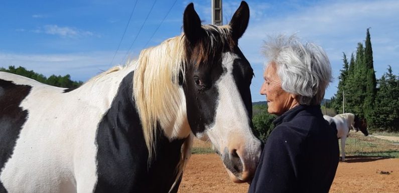 La colère d’une éleveuse après la mort de l’un de ses chevaux, tué par un chasseur