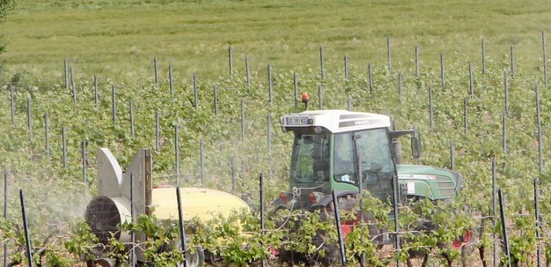 Chiffre du jour : 75 tonnes d’emballages agricoles collectées en Vaucluse