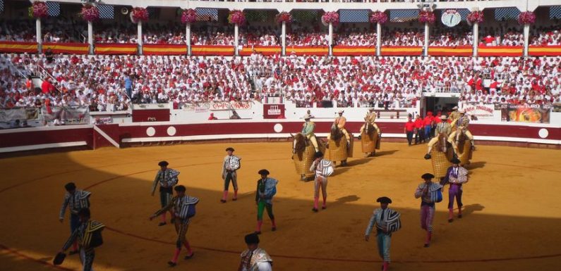 Interdiction de la corrida aux mineurs : une députée LREM confirme le dépôt d’une proposition de loi