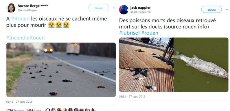 Après l’incendie de l’usine Lubrizol à Rouen, des intox en série