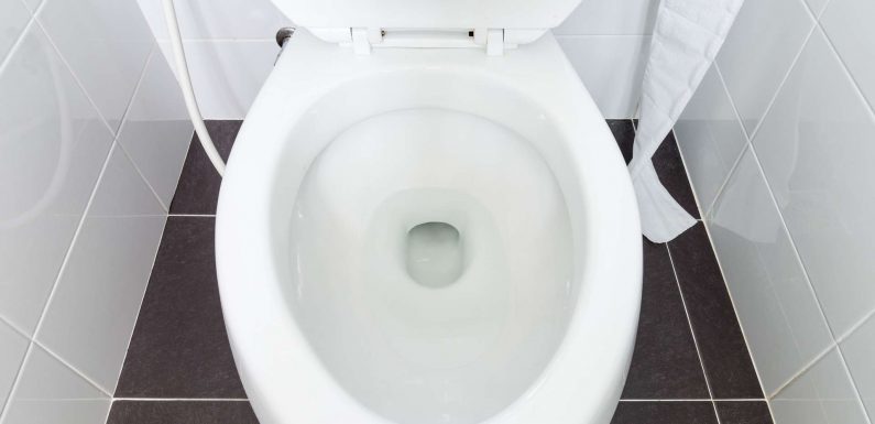 L’intelligence artificielle s’invite dans vos toilettes
