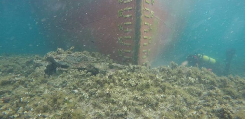 Corse : « Aucune pollution constatée », pour l’instant, après l’échouement d’un cargo à Bonifacio