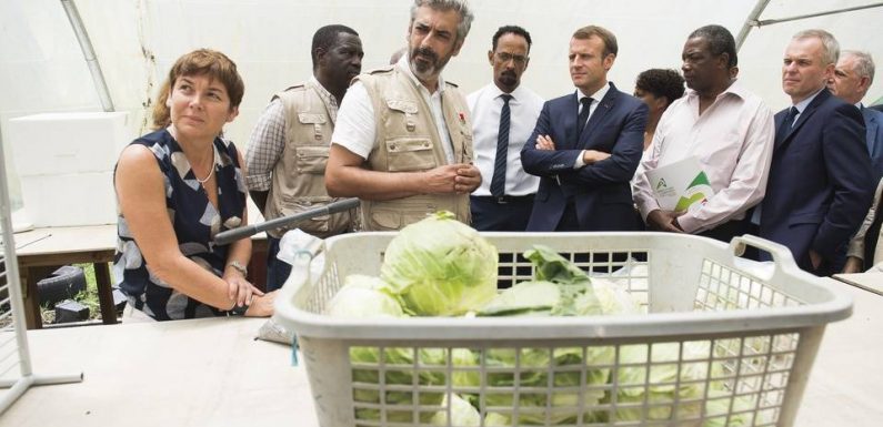 Enquête parlementaire sur la chlordécone : Quatre ministres prochainement auditionnés