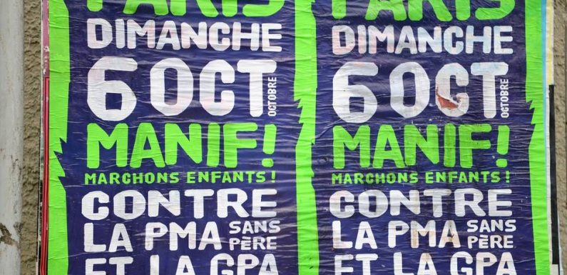 PMA pour toutes : Les anti manifestent à Paris pour demander le retrait du texte