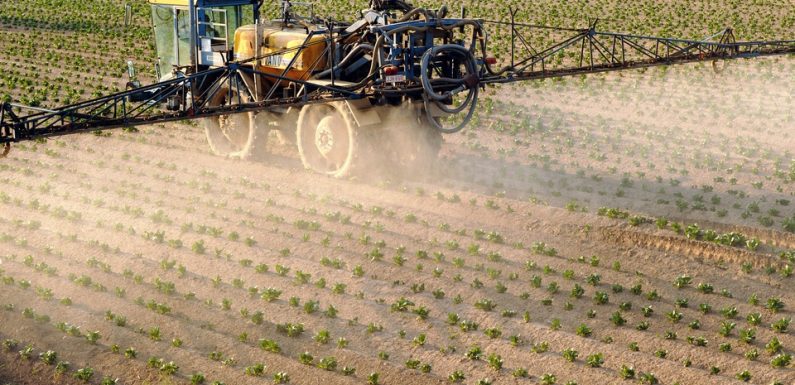 Yonne : Maire et agriculteur, il prend un arrêté pro-pesticides pour « remettre les pendules à l’heure »