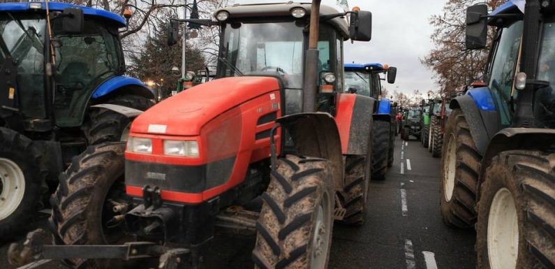 Lyon : Les agriculteurs menacent de bloquer la ville
