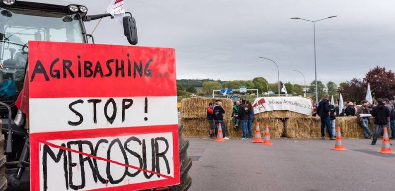 Les paysans déplorent « l’agribashing » : « Le problème, c’est la déconnexion entre la population et la campagne »