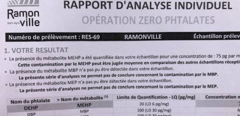 Haute-Garonne : Des élus trouvent des phtalates dans leurs cheveux et déclarent la guerre aux perturbateurs endocriniens