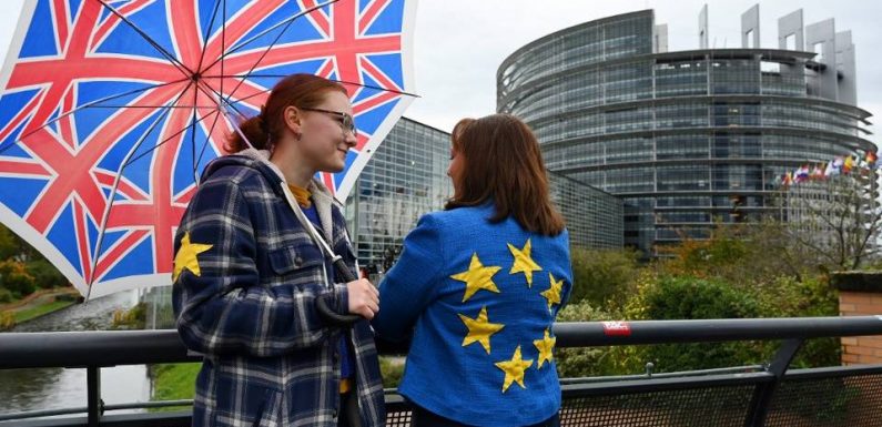 Accord sur le Brexit : « ça fait si longtemps que ça dure »… On était à la grande manifestation des anti