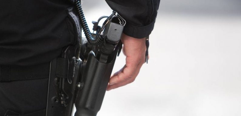 Le Mans : Trois ans de prison pour un homme qui avait tiré dans le bureau d’un juge